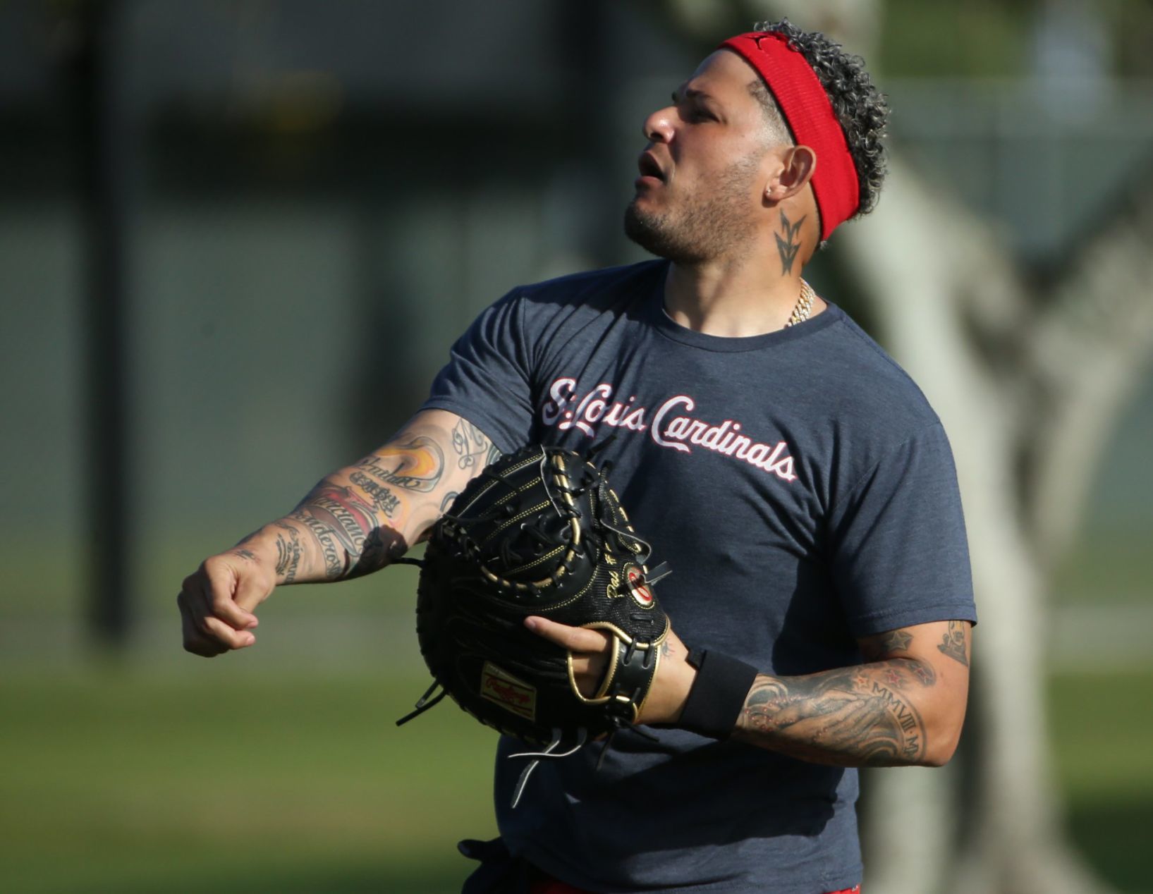 Cardinals pitchers and catchers report day